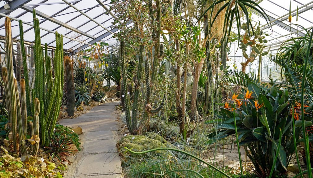 BOT Botanical Garden, Dresden, Germany, Germany